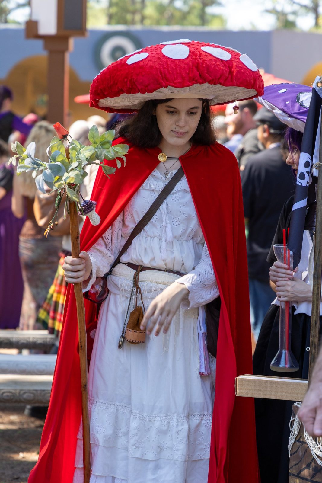 Faire Folk, plate III.05. Texas Renaissance Festival, Todd Mission.