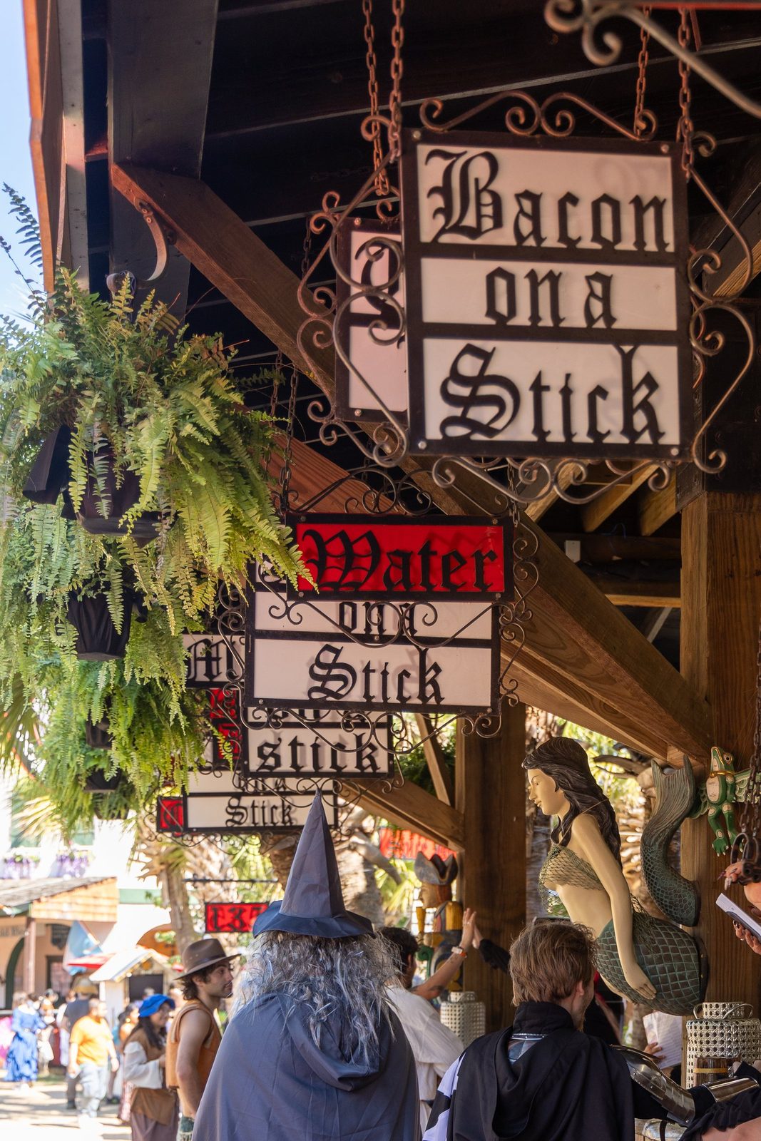 Faire Folk, plate III.07. Texas Renaissance Festival, Todd Mission.